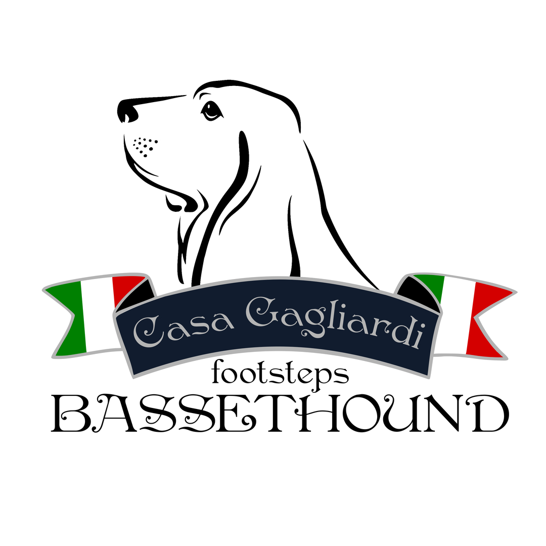 Casa Gagliardi Footsteps Bassethound